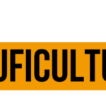 E-commerce1 logo