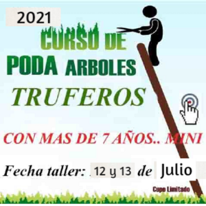 Curso de poda encina trufera más de 7 años