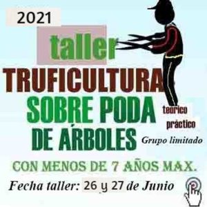 Curso de poda encina trufera menos de 7 años