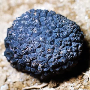 TRUFA NEGRA EXTRA